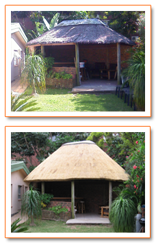 Thatch Evolution